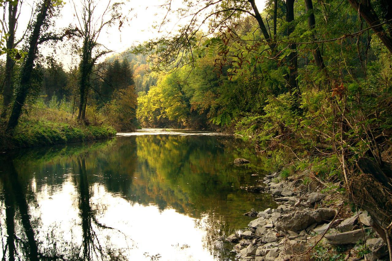 فندق Wimpassing an der Pielachفي  Gasthof Dangl المظهر الخارجي الصورة